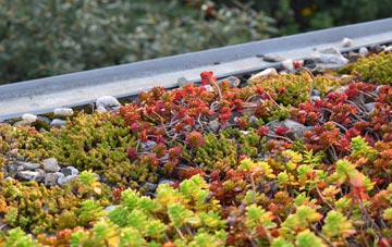 the cost of Doley green roof installation