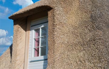 Doley thatch roof disadvantages