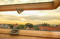rated Doley roof window companies